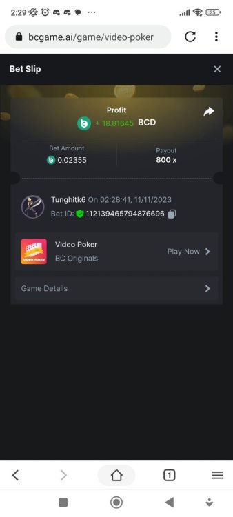 Screenshot_2023-11-11-02-29-39-921_com.coccoc.trinhduyet.jpg